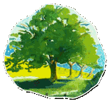 Logo Nature et Avenir