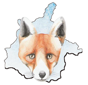 Logo ReNArd