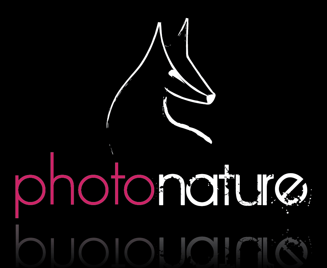 logo photonature