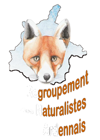 logo renard